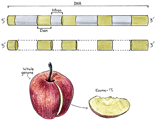 mygene2